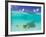 Le Maitai Dream Fakarava Resort, Fakarava, Tuamotus, French Polynesia-Michele Westmorland-Framed Photographic Print