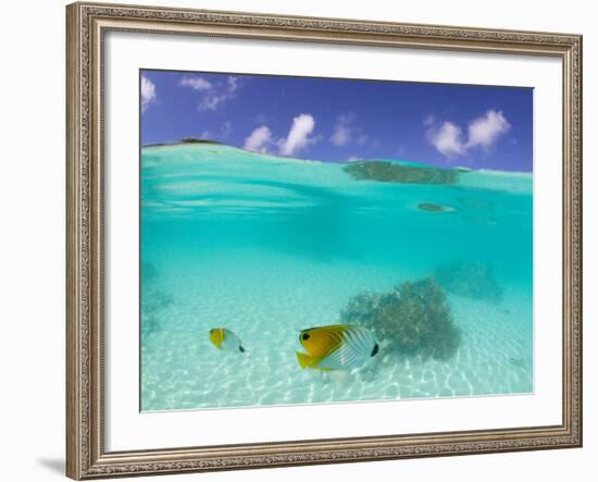 Le Maitai Dream Fakarava Resort, Fakarava, Tuamotus, French Polynesia-Michele Westmorland-Framed Photographic Print