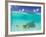 Le Maitai Dream Fakarava Resort, Fakarava, Tuamotus, French Polynesia-Michele Westmorland-Framed Photographic Print