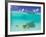 Le Maitai Dream Fakarava Resort, Fakarava, Tuamotus, French Polynesia-Michele Westmorland-Framed Photographic Print