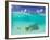 Le Maitai Dream Fakarava Resort, Fakarava, Tuamotus, French Polynesia-Michele Westmorland-Framed Photographic Print