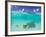 Le Maitai Dream Fakarava Resort, Fakarava, Tuamotus, French Polynesia-Michele Westmorland-Framed Photographic Print