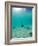 Le Maitai Dream Fakarava Resort, Fakarava, Tuamotus, French Polynesia-Michele Westmorland-Framed Photographic Print