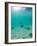 Le Maitai Dream Fakarava Resort, Fakarava, Tuamotus, French Polynesia-Michele Westmorland-Framed Photographic Print