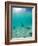 Le Maitai Dream Fakarava Resort, Fakarava, Tuamotus, French Polynesia-Michele Westmorland-Framed Photographic Print