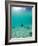 Le Maitai Dream Fakarava Resort, Fakarava, Tuamotus, French Polynesia-Michele Westmorland-Framed Photographic Print