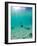 Le Maitai Dream Fakarava Resort, Fakarava, Tuamotus, French Polynesia-Michele Westmorland-Framed Photographic Print