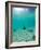 Le Maitai Dream Fakarava Resort, Fakarava, Tuamotus, French Polynesia-Michele Westmorland-Framed Photographic Print