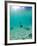 Le Maitai Dream Fakarava Resort, Fakarava, Tuamotus, French Polynesia-Michele Westmorland-Framed Photographic Print