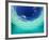 Le Maitai Dream Fakarava Resort, Fakarava, Tuamotus, French Polynesia-Michele Westmorland-Framed Photographic Print