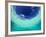 Le Maitai Dream Fakarava Resort, Fakarava, Tuamotus, French Polynesia-Michele Westmorland-Framed Photographic Print