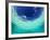 Le Maitai Dream Fakarava Resort, Fakarava, Tuamotus, French Polynesia-Michele Westmorland-Framed Photographic Print