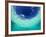 Le Maitai Dream Fakarava Resort, Fakarava, Tuamotus, French Polynesia-Michele Westmorland-Framed Photographic Print