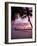 Le Maitai Dream Fakarava Resort, Fakarava, Tuamotus, French Polynesia-Michele Westmorland-Framed Photographic Print