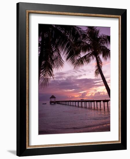 Le Maitai Dream Fakarava Resort, Fakarava, Tuamotus, French Polynesia-Michele Westmorland-Framed Photographic Print