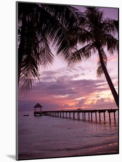 Le Maitai Dream Fakarava Resort, Fakarava, Tuamotus, French Polynesia-Michele Westmorland-Mounted Photographic Print