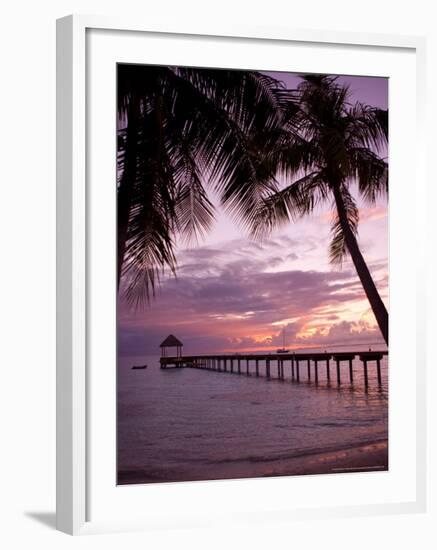 Le Maitai Dream Fakarava Resort, Fakarava, Tuamotus, French Polynesia-Michele Westmorland-Framed Photographic Print