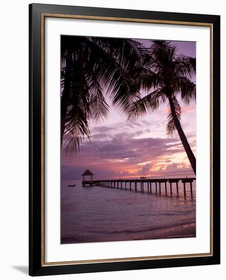 Le Maitai Dream Fakarava Resort, Fakarava, Tuamotus, French Polynesia-Michele Westmorland-Framed Photographic Print