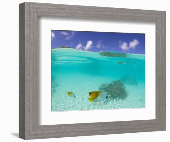 Le Maitai Dream Fakarava Resort, Fakarava, Tuamotus, French Polynesia-Michele Westmorland-Framed Photographic Print