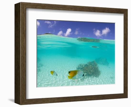 Le Maitai Dream Fakarava Resort, Fakarava, Tuamotus, French Polynesia-Michele Westmorland-Framed Photographic Print