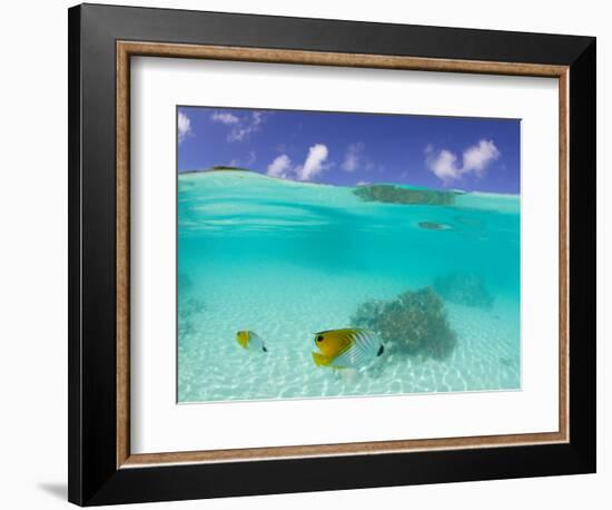 Le Maitai Dream Fakarava Resort, Fakarava, Tuamotus, French Polynesia-Michele Westmorland-Framed Photographic Print