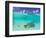 Le Maitai Dream Fakarava Resort, Fakarava, Tuamotus, French Polynesia-Michele Westmorland-Framed Photographic Print