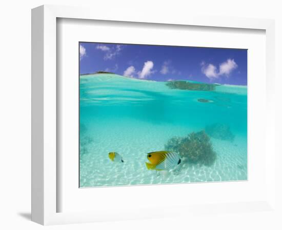 Le Maitai Dream Fakarava Resort, Fakarava, Tuamotus, French Polynesia-Michele Westmorland-Framed Photographic Print