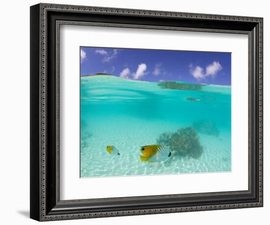 Le Maitai Dream Fakarava Resort, Fakarava, Tuamotus, French Polynesia-Michele Westmorland-Framed Photographic Print