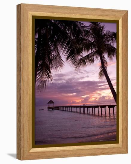 Le Maitai Dream Fakarava Resort, Fakarava, Tuamotus, French Polynesia-Michele Westmorland-Framed Premier Image Canvas
