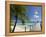 Le Maitai Dream Hotel, Fakarawa, Tuamotu Archipelago, French Polynesia, Pacific Islands, Pacific-Sergio Pitamitz-Framed Premier Image Canvas