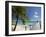 Le Maitai Dream Hotel, Fakarawa, Tuamotu Archipelago, French Polynesia, Pacific Islands, Pacific-Sergio Pitamitz-Framed Photographic Print