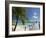 Le Maitai Dream Hotel, Fakarawa, Tuamotu Archipelago, French Polynesia, Pacific Islands, Pacific-Sergio Pitamitz-Framed Photographic Print