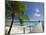 Le Maitai Dream Hotel, Fakarawa, Tuamotu Archipelago, French Polynesia, Pacific Islands, Pacific-Sergio Pitamitz-Mounted Photographic Print