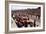 Le Mans Racing Circuit, France, 1959-null-Framed Photo