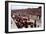 Le Mans Racing Circuit, France, 1959-null-Framed Photo