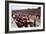 Le Mans Racing Circuit, France, 1959-null-Framed Photo