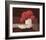 Le Milieu Rouge-Karsten Kirchner-Framed Art Print