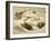 Le mont Rose, paysage de montagne-null-Framed Giclee Print