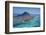 Le Morne Brabant Peninsula, Black River (Riviere Noire), West Coast, Mauritius-Jon Arnold-Framed Photographic Print