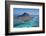 Le Morne Brabant Peninsula, Black River (Riviere Noire), West Coast, Mauritius-Jon Arnold-Framed Photographic Print