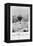 Le Neptune Hot Air Balloon Taking Off from Place St Pierre in Montmatre During the Siege of…-Nadar-Framed Premier Image Canvas