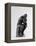 Le Penseur-Auguste Rodin-Framed Premier Image Canvas