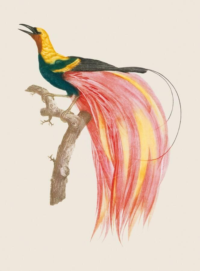 Le Petit Paradis Emeraude Premium Giclee Print By Jacques Barraband Artcom