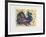 Le pigeon-paon-Jean-marie Guiny-Framed Limited Edition