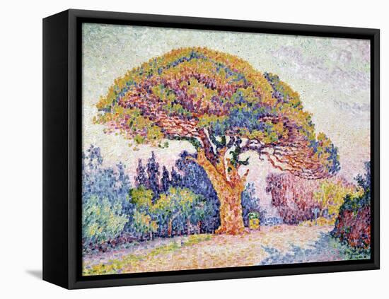 'Le Pin de Bertaud at Saint-Tropez', 1909-Paul Signac-Framed Premier Image Canvas