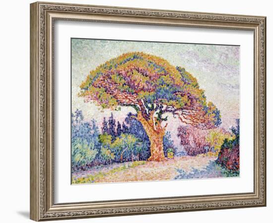 'Le Pin de Bertaud at Saint-Tropez', 1909-Paul Signac-Framed Giclee Print