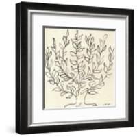 Le Platane-Henri Matisse-Framed Art Print