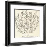 Le Platane-Henri Matisse-Framed Art Print