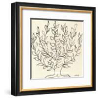 Le Platane-Henri Matisse-Framed Art Print