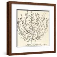 Le Platane-Henri Matisse-Framed Art Print